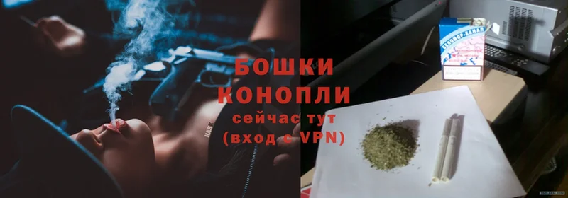 Марихуана THC 21%  Гаврилов Посад 